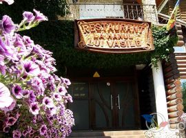 Ресторанный комплекс La Hanul lui Vasile туристический пансионат